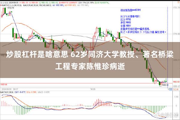 炒股杠杆是啥意思 62岁同济大学教授、著名桥梁工程专家陈惟珍病逝