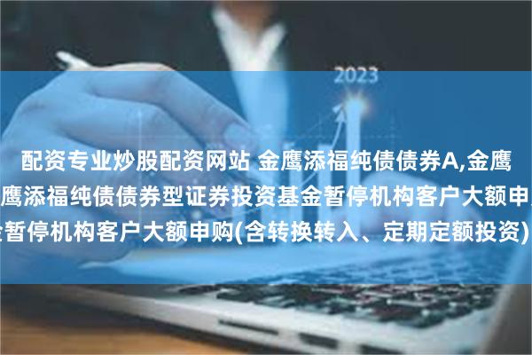 配资专业炒股配资网站 金鹰添福纯债债券A,金鹰添福纯债债券C: 关于金鹰添福纯债债券型证券投资基金暂停机构客户大额申购(含转换转入、定期定额投资)的公告