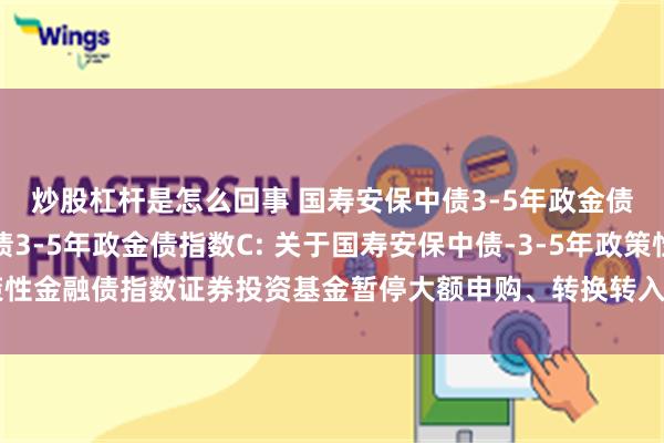 炒股杠杆是怎么回事 国寿安保中债3-5年政金债指数A,国寿安保中债3-5年政金债指数C: 关于国寿安保中债-3-5年政策性金融债指数证券投资基金暂停大额申购、转换转入及定期定额投资业务的公告