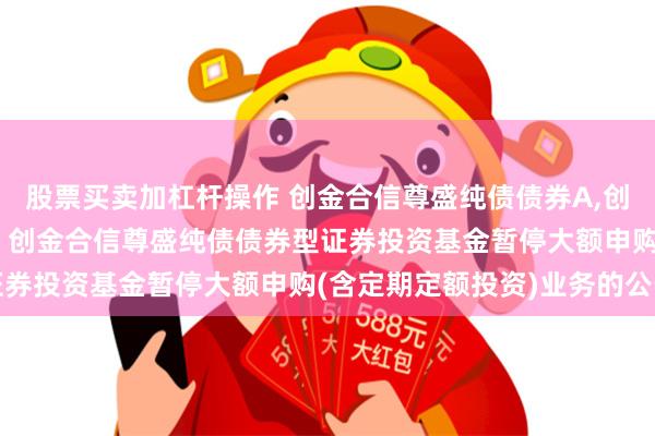 股票买卖加杠杆操作 创金合信尊盛纯债债券A,创金合信尊盛纯债债券C: 创金合信尊盛纯债债券型证券投资基金暂停大额申购(含定期定额投资)业务的公告