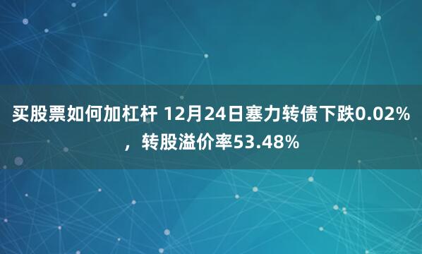 买股票如何加杠杆 12月24日塞力转债下跌0.02%，转股溢价率53.48%