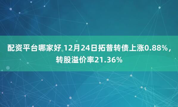 配资平台哪家好 12月24日拓普转债上涨0.88%，转股溢价率21.36%