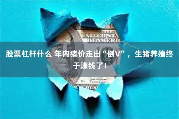 股票杠杆什么 年内猪价走出“倒V”，生猪养殖终于赚钱了！