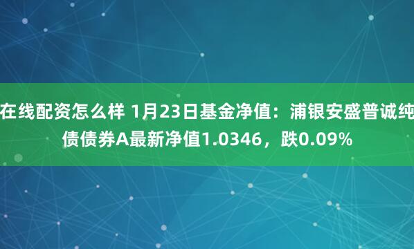 在线配资怎么样 1月23日基金净值：浦银安盛普诚纯债债券A最新净值1.0346，跌0.09%