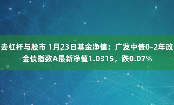 去杠杆与股市 1月23日基金净值：广发中债0-2年政金债指数A最新净值1.0315，跌0.07%