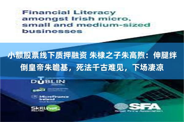 小额股票线下质押融资 朱棣之子朱高煦：伸腿绊倒皇帝朱瞻基，死法千古难见，下场凄凉